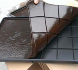 Cebo sostenible para moluscos y crustáceos: Una alternativa ecológica para la pesca