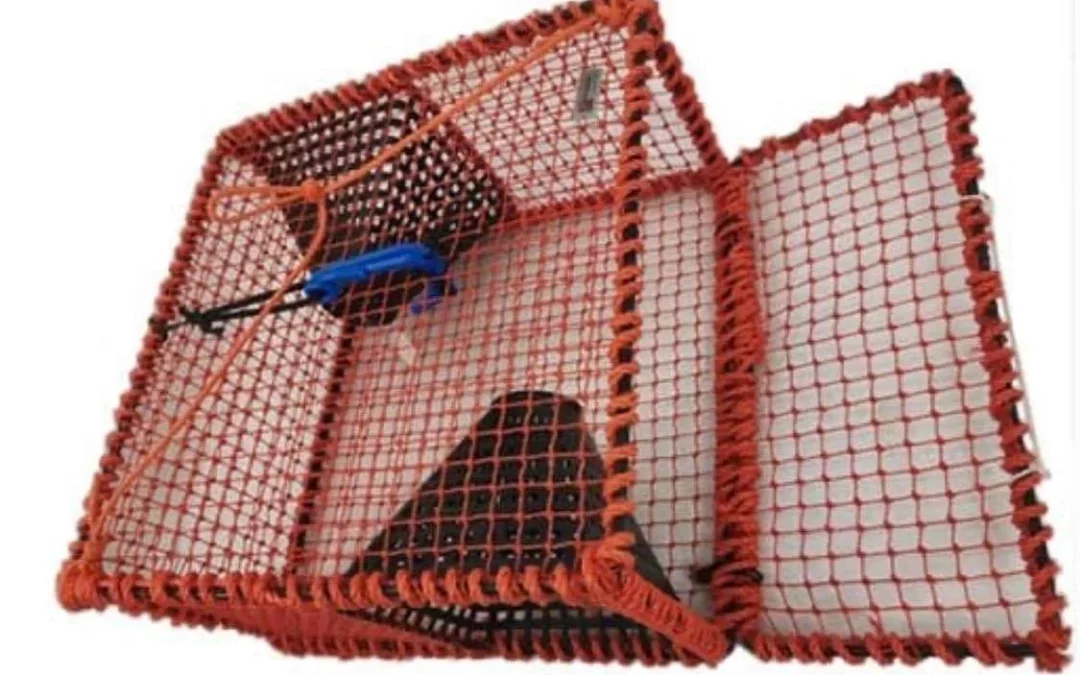 Découvrez les merveilles du casier aux langoustines : un trésor de la mer à savourer