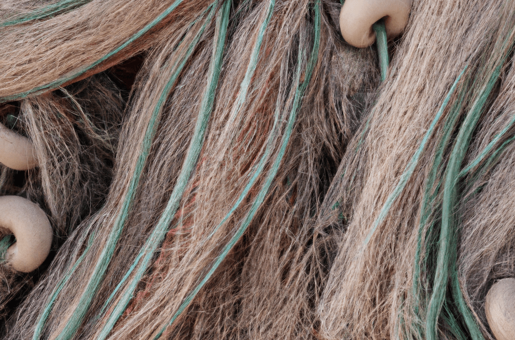 Guía completa de mantenimiento y equipamiento para pescadores: consejos para una pesca sostenible y responsable